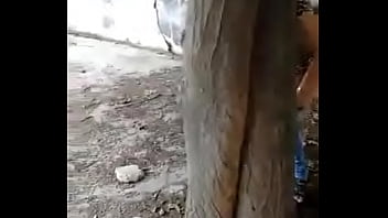 Preview 4 of Tiny Schoolgirl Blowjob - xvideos.com 71e86f35a9f5b2c2fb5d724e02478f62