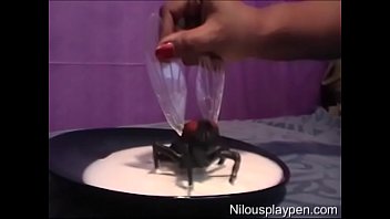 Preview 1 of Punjabi Hd Film Xxx - Fly Licking : Nilou Achtland