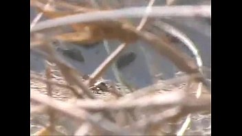Preview 4 of Datang Bulang Mesum - xvideos.com ba909406b3b59069fd0cc094ac342ab2