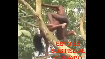 Preview 4 of Hard Mouth Fuck Girl Crying - Como cuando te montas en el guayabo jaja
