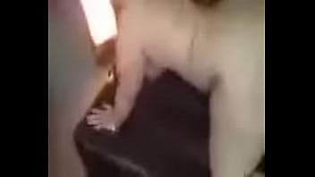 Preview 3 of Dundalk Sluts - hitting white bbw slut from behind