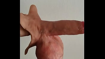 Preview 1 of Porn Image - long cock,  handjob penis code 1019 with large,  extreme balls