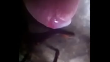 Preview 2 of Petite Schoolgirl Doggystyle - 6868785 480p