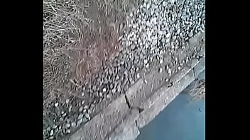 Preview 1 of Elora Sousa - VID 20170307 172025