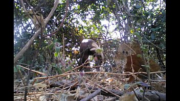 Preview 1 of Nude Eno - Indian Desi Nude Boy In Jungle