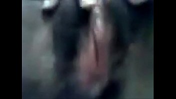 Preview 4 of Squirting With Horse - xvideos.com 14fb865b0d52b43be3523b3cfeba9558