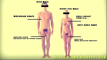 Preview 1 of Bulldog Position - shemale anatomy