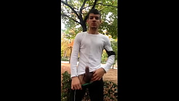 Preview 3 of Rough Peging - Tarado exibido punhetando no parque - www.prazergay.com.br