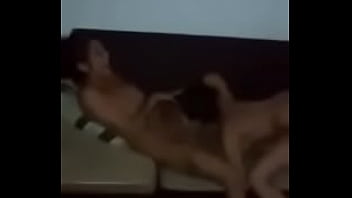 Preview 2 of 12 Xxx Mover - Morochas Cari&ntilde_osas