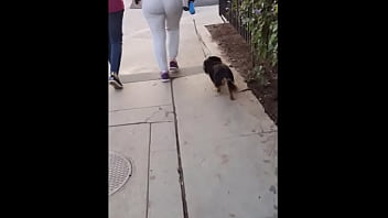 Preview 3 of Ass Accifrnt - Big booty walking