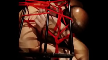 Preview 2 of Animal Woman Vedio - trim.71E2F198-EFB1-4BC4-9EBF-D2EDCAF13A47.MOV
