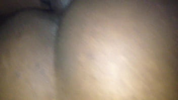 Preview 4 of Animal Women Flirting - sweetness