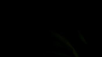 Preview 2 of Delhi Xxxcom - Jesi culona