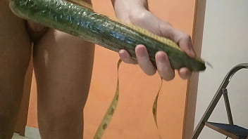 Preview 1 of Virgin Himod - 33 centimeters of long cucumber all up for my super hungry ass