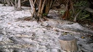 Preview 1 of Amatuer Big Dick Handjob - Branquinha sem pudor na praia gozando no pau preto
