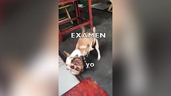 Preview 2 of Shawn Long Nude - como me fue