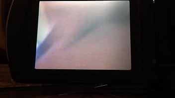 Preview 1 of Golden Pegasus - IMG 0068.MOV