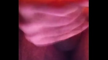 Preview 2 of Jav Harem Porn - Cum