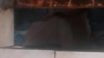 Preview 4 of Son Fucks Drunk Moms Ass - Chola orinando jauja huancayo