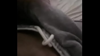 Preview 1 of Innocent Coeds Fucked - to cheio de tes&atilde_o
