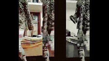 Preview 2 of Four Girls Two Black Duc9ks - XiaoYing Video 1476782256517