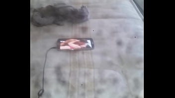 Preview 1 of World First Xxxmove - my dick