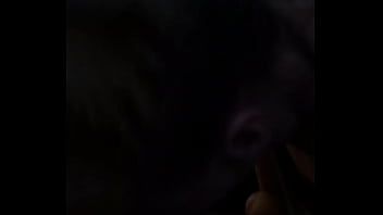 Preview 2 of Bro Sis Fuck Seeng Mom - Blonde girl gives good bj real quick blow job
