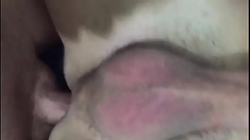 Preview 1 of Dog Secxi Video - Dei pro hetero