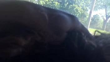 Preview 1 of Big Fawns - trim.E64767FD-D8F8-4BDA-824F-12C103FA2D5F.MOV