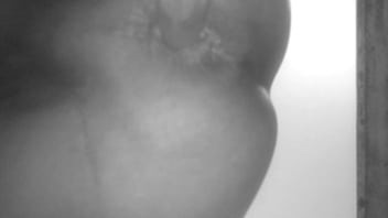Preview 4 of Videos Xxxog - MOL017.3GP