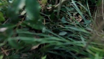 Preview 2 of Papa Cojiendose Ala Hija - Stark naked Japanese fat frog lady in the swamp HD