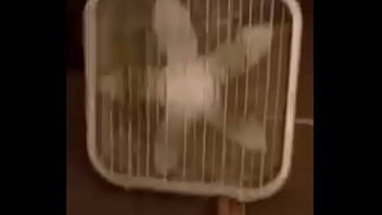 Preview 1 of Xxxxx Video Ne - Midget Fucking Fan Gets Fucking Fucked by a Foot Fucking Fuck
