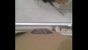 Preview 4 of Pub Cam - Stomping my expensive radio control drone