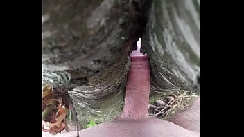 Preview 2 of Ana Quiles - branle avec un arbre