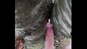 Preview 3 of Ana Quiles - branle avec un arbre