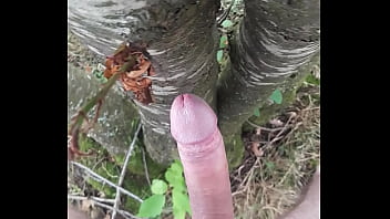 Preview 4 of Ana Quiles - branle avec un arbre