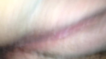 Preview 2 of Wwe Peige Sex - suck me then i fuck you