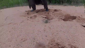 Preview 3 of Sex Sex Nouthty - bitch in the sandbox