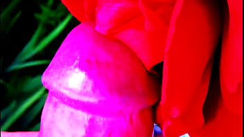 Preview 2 of Xnxx Loanluan Com Vn - Red Rose