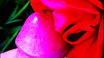Preview 1 of Xnxx Loanluan Com Vn - Red Rose