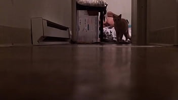 Preview 4 of Ssbbw Obese Cum - philly white thot get black dick