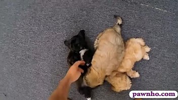 Preview 2 of Fake Doctor Touching Woman - Babe pawns her vagina for her vets bill