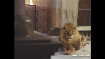Preview 1 of Tube Sexbaby - Black Widow,  the Roman and the Lion