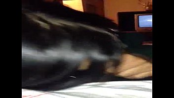Preview 2 of Zumorgasmuss Lecken - Amateur Night