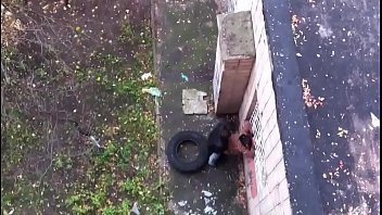Preview 3 of Home Slut - Amateur couple caught fucking outdoors