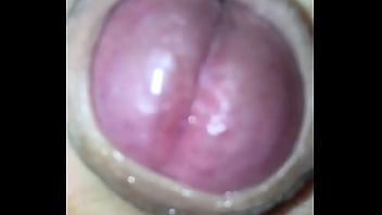 Preview 4 of Www Xxx Video Hd Com Mp4 - trim.0042A8A5-A702-4CBB-BED0-75F6E443F99C.MOV