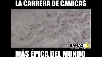 Preview 2 of Www 8teens Porn - carrera de bola