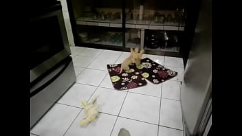 Preview 2 of Newe 2017 Bilu Film - FUNNY .... Sexy blonde got two cocks ?