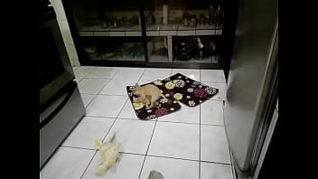Preview 1 of Newe 2017 Bilu Film - FUNNY .... Sexy blonde got two cocks ?