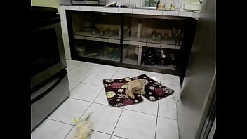 Preview 4 of Newe 2017 Bilu Film - FUNNY .... Sexy blonde got two cocks ?